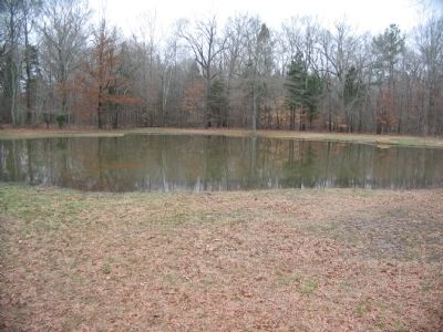 The Bloody Pond Today image. Click for full size.