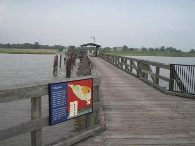 Marker on Pea Patch Island. Click for full size. Marker on Pea Patch Island image. Click for full size.