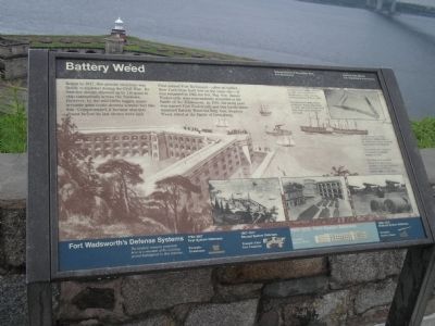 Battery Weed Marker image. Click for full size.
