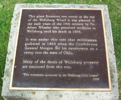 Wellsburg's Giant Sycamore Marker image. Click for full size.