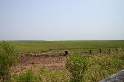 Today's Marshland in direction where Front light once stood, for Port Royal Sound image. Click for full size.