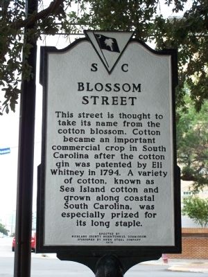 Blossom Street Marker. Click for full size. Blossom Street Marker image. Click for full size.