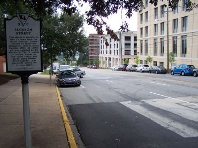 Blossom Street Marker, looking south along Main St. image. Click for full size.
