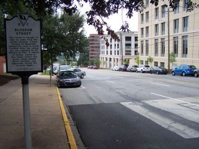 Blossom Street Marker, looking south along Main St.. Click for full size. Blossom Street Marker, looking south along Main St. image. Click for full size.