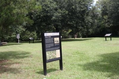 Battle of Eutaw Springs Marker. Click for full size. Battle of Eutaw Springs Marker image. Click for full size.