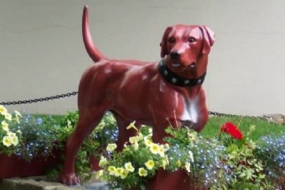 Morley's Dog. Click for full size. Morley's Dog image. Click for full size.