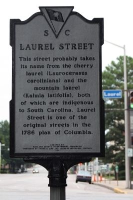 Laurel Street Marker. Click for full size. Laurel Street Marker image. Click for full size.