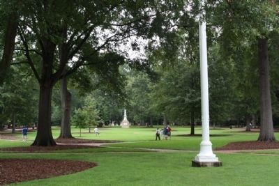 University of South Carolina Horseshoe green image. Click for full size.