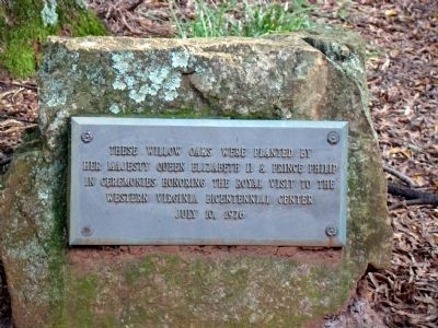These Willow Oaks Marker image. Click for full size.