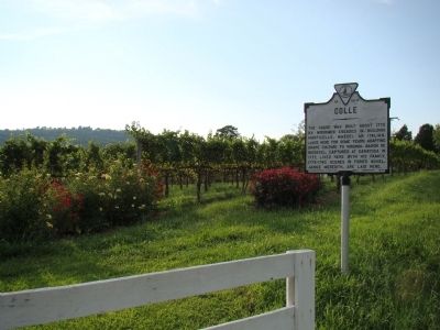 Colle Marker and Vineyard image. Click for full size.