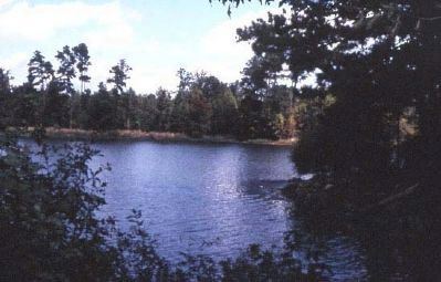 Santee River / Lake Marion, view from marker image. Click for full size.