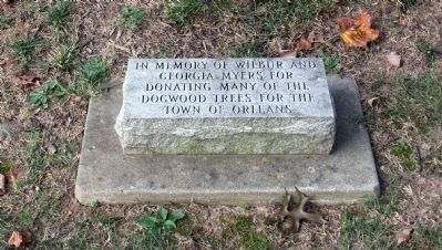 Memorial Stone by Tree image. Click for full size.