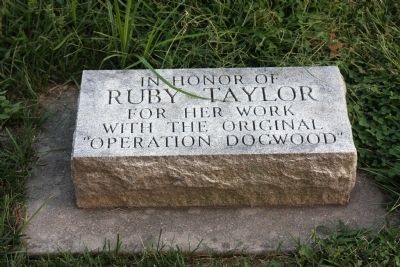 Tree Memorial Stone image. Click for full size.