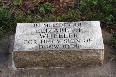 Tree Memorial Stone image. Click for full size.