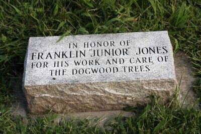 Another Memorial Tree image. Click for full size.