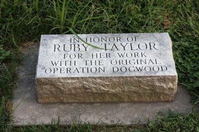 Tree Memorial Stone. Click for full size. Tree Memorial Stone image. Click for full size.