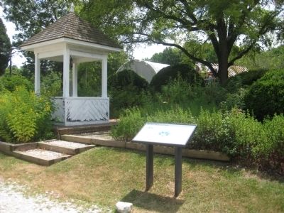 Dr. Hill's Medicinal Plants Marker. Click for full size. Dr. Hill's Medicinal Plants Marker image. Click for full size.