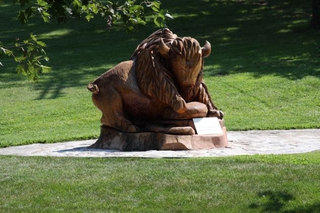 Wood Carved Buffalo. Click for full size. Wood Carved Buffalo image. Click for full size.