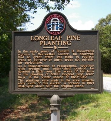 Longleaf Pine Planting Marker image. Click for full size.