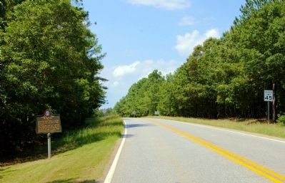 Longleaf Pine Planting Marker image. Click for full size.
