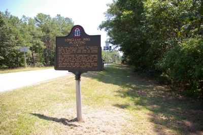 Longleaf Pine Planting Marker image. Click for full size.