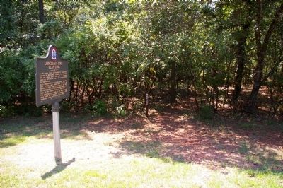 Longleaf Pine Planting Marker image. Click for full size.