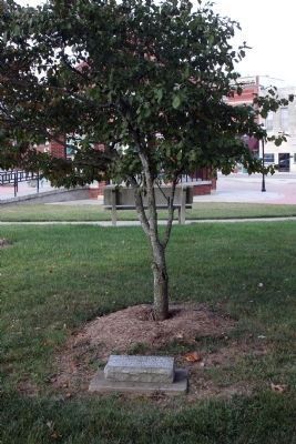 Dogwood Tree & A Memorial. . . image. Click for full size.