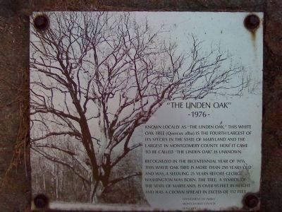 The Linden Oak Marker image. Click for full size.