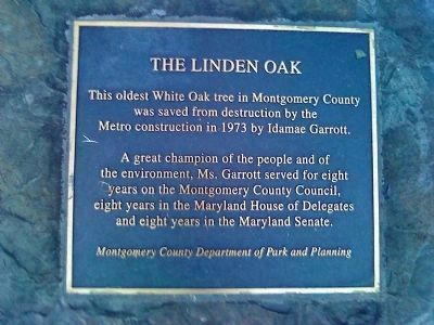The Third Marker image. Click for full size.