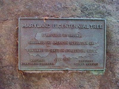 The Second Marker image. Click for full size.