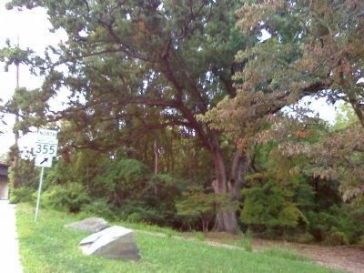 The Linden Oak Markers with The Linden Oak image. Click for full size.