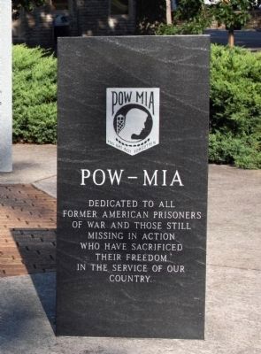 POW - MIA - You Are Not Forgotten . . . image. Click for full size.