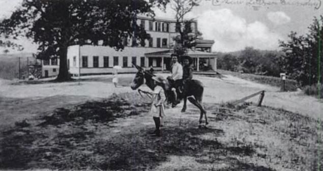 Chick Springs Hotel -<br>Children Riding a Mule image. Click for full size.