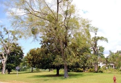 Valley of Hope Marker. Click for full size. Valley of Hope Marker image. Click for full size.