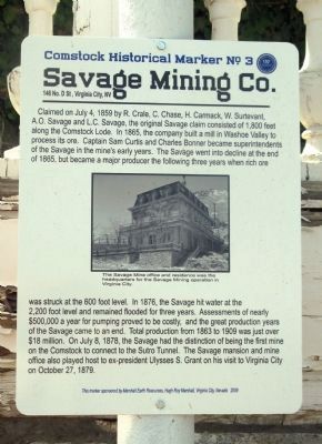 Savage Mining Co. Marker image. Click for full size.