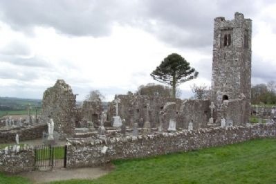 Slane Abbey Ruins image. Click for full size.