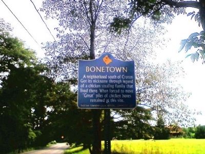 Bonetown Marker. Click for full size. Bonetown Marker image. Click for full size.