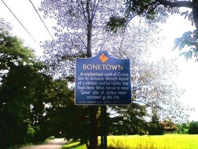 Bonetown Marker image. Click for full size.