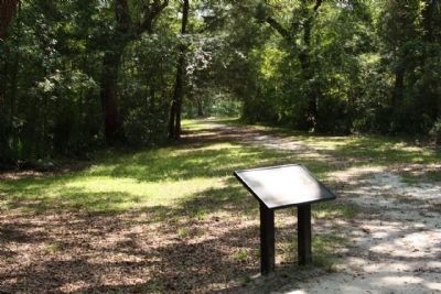 Colonial Dorchester Marker seen along hiking path to Ashley River, 300 feet away image. Click for full size.
