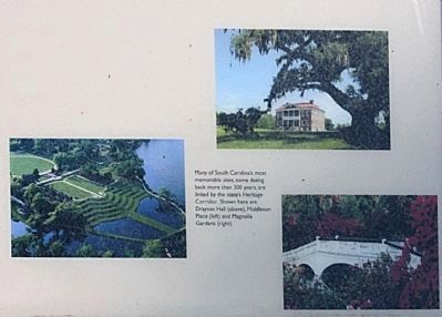 top: Drayton Hall, left: Middleton Place, and right: Magnolia Gardens. image. Click for full size.
