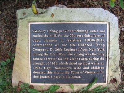 Salsbury Spring Marker. Click for full size. Salsbury Spring Marker image. Click for full size.