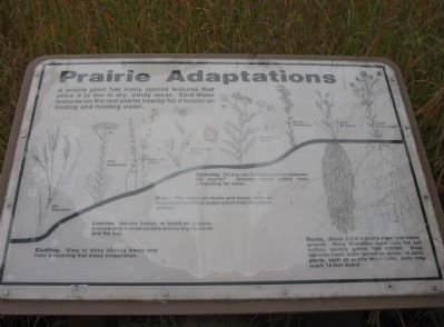 Nearby Interpretive Panel image. Click for full size.