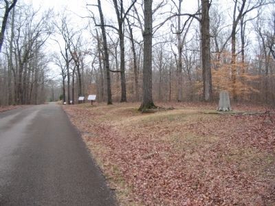 Putnam Stump Beside the Park Road image. Click for full size.