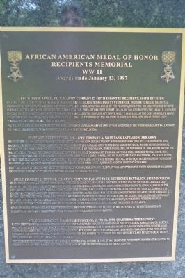 African American Medal of Honor Recipients Memorial, Marker Panel 10 image. Click for full size.