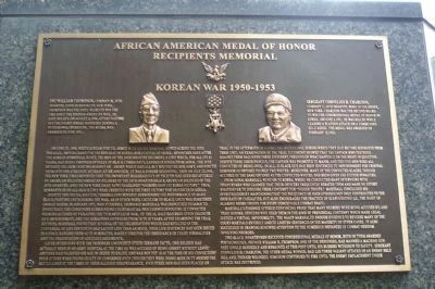 African American Medal of Honor Recipients Memorial, Marker Panel 11: image. Click for full size.