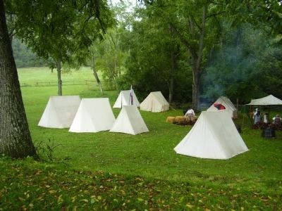 Vance Birthplace Historic Site image. Click for full size.