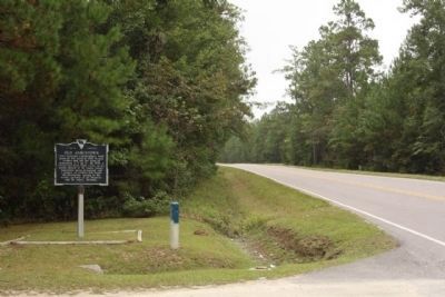 Old Jamestown Marker, looking south along SC 45 image. Click for full size.