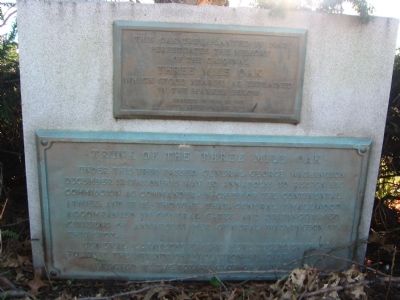 Trunk of the Three Mile Oak Marker. Click for full size. Trunk of the Three Mile Oak Marker image. Click for full size.