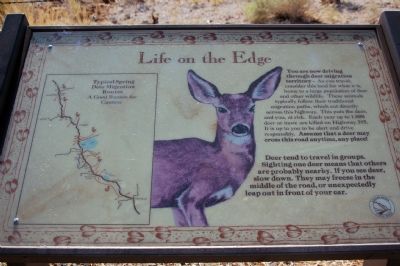 “Life on the Edge” Deer Marker image. Click for full size.