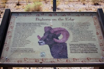 "Bighorn on the Edge” Bighorn Sheep Marker image. Click for full size.